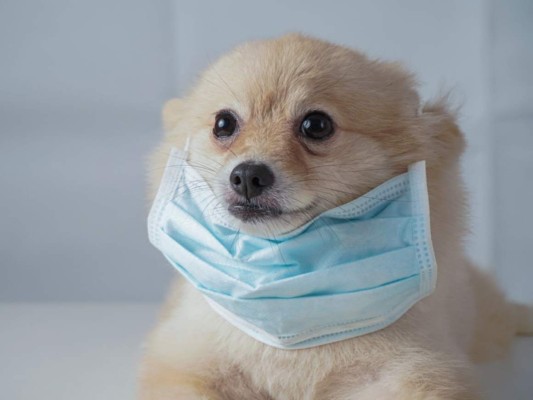 Covid-19: 10 Mitos y realidades que debe saber ¡Tome nota!