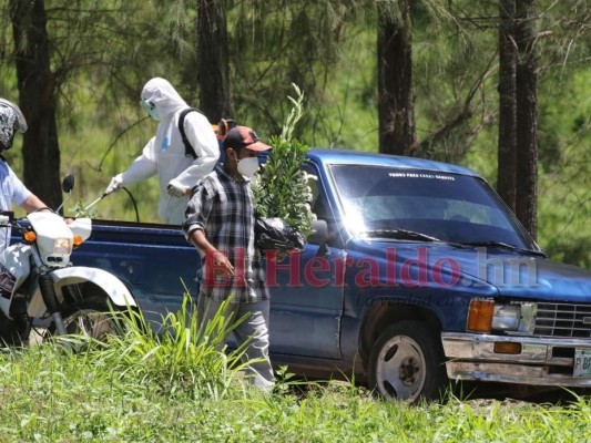 En imágenes: Silencio y hermetismo en entierros durante emergencia por coronavirus