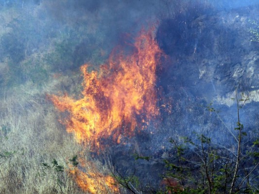 En un 22% aumentan los incendios en zacateras