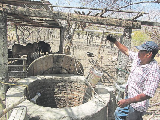 Ganaderos de la zona sur sin agua ni pasto para semovientes