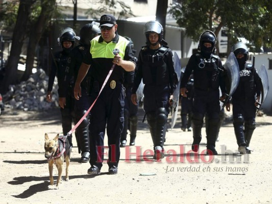 El centro histórico bajo resguardo de la oficial perruna, Laura