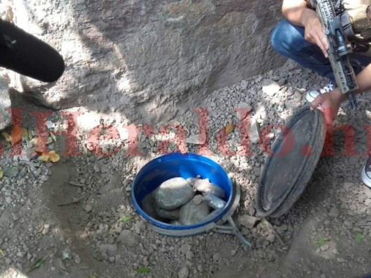 Las formas más 'inusuales' de transportar droga que han sido detectadas en Honduras