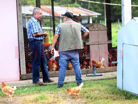 Casi medio millón mensual cuesta la Interventora de la Universidad Nacional de Agricultura
