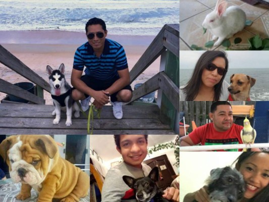 Hondureños comparten las fotos de sus mascotas
