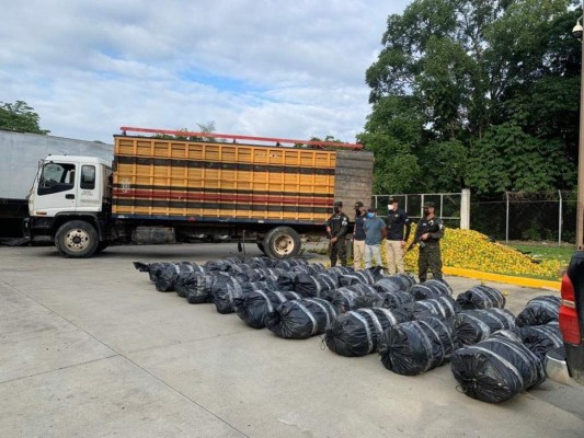 Decomisan supuesta marihuana oculta en camión lleno de naranjas en El Progreso  