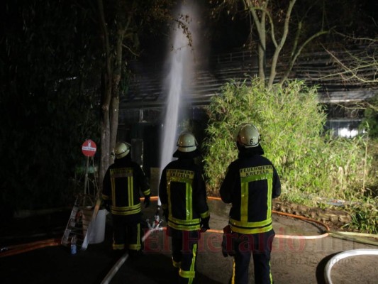 Las tristes imágenes que dejó el incendio en zoológico de Alemania