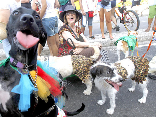 Carnaval de perros