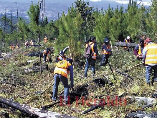 Alcaldía de Tegucigalpa se suma al combate de incendios forestales
