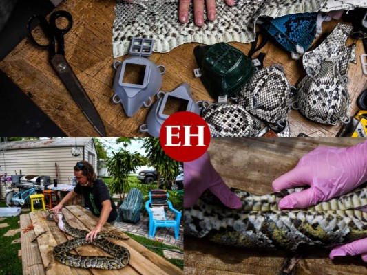 Brian Woods, un artesano de 63 años que hace toda clase de productos con pieles de reptiles, se percató de que la gente comenzaba a llevar mascarillas cada vez más creativas para protegerse de la pandemia, y decidió surfear la misma ola. Fotos: AFP.