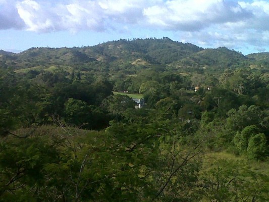 Las Fotos de los Lectores