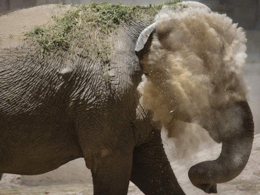 Las mejores fotos que marcaron la semana en América Latina&nbsp;
