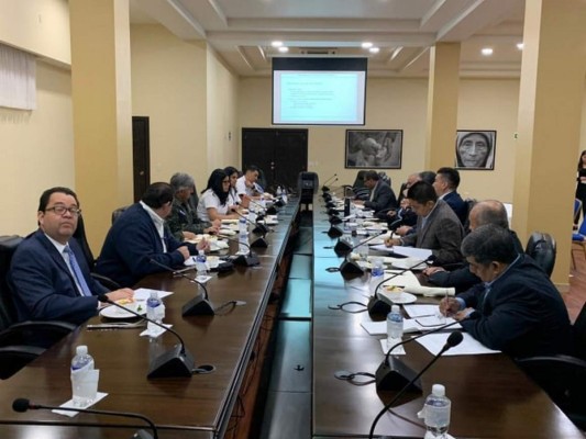 Gobierno y Consejo Nacional de Defensa analizan intervención de ENEE