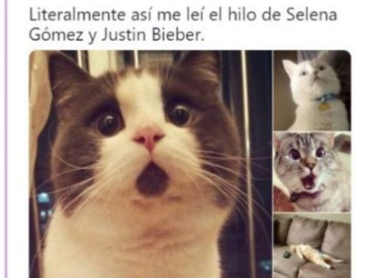 Los memes que generó el hilo de Twitter de la relación tóxica de Justin Bieber y Selena Gómez