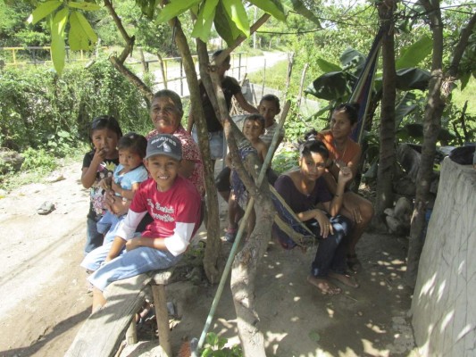 Honduras: Reiniciarán ciclo de intervención contra el mosquito del dengue