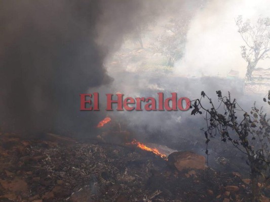 Fotos: Así fue el voraz incendio que consumió varias tumbas del cementerio Sipile en Comayagüela