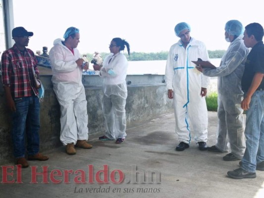 Equipo forense realiza levantamiento de cuerpos de víctimas de naufragio en La Mosquitia