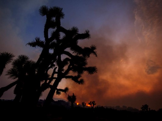 Las imágenes más impactantes del incendio Bobcat que arrasa California