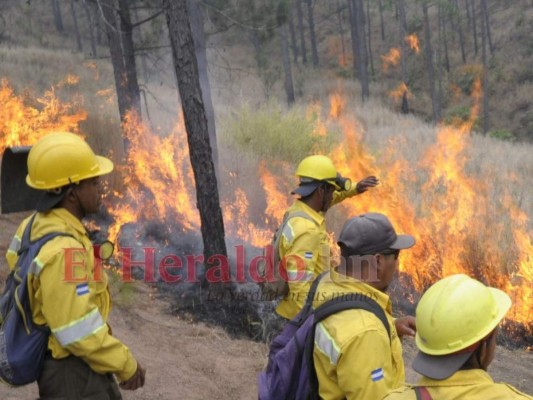 El Distrito Central reporta un incendio forestal cada cuatro días