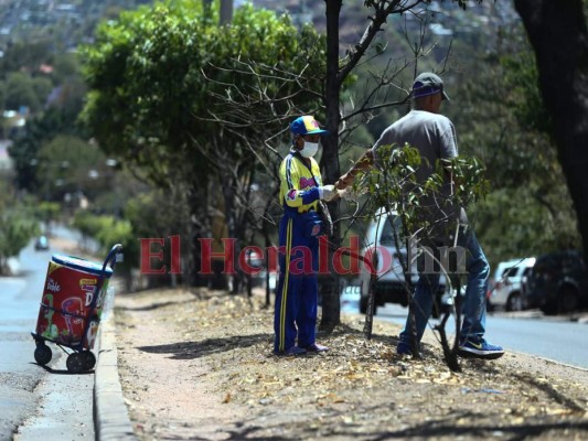 FOTOS: Ventas ambulantes, protestas y desalojos, hondureños no acatan medidas