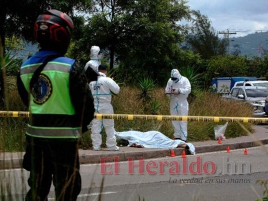 Tasa de homicidios triplicó entre enero y agosto la estipulada por la OMS en el Distrito Central