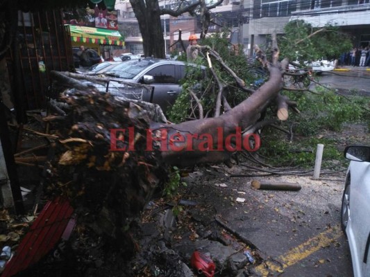 Imágenes de las inundaciones en Tegucigalpa tras fuerte lluvia