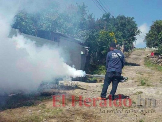 Más de 6,500 viviendas serán intervenidas para combatir el dengue en la capital