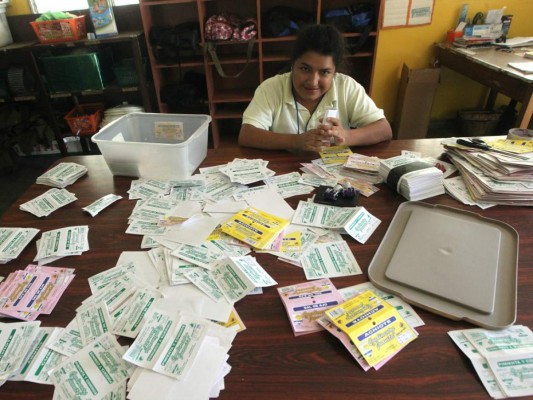 El plan educativo verde es marcado por la solidaridad