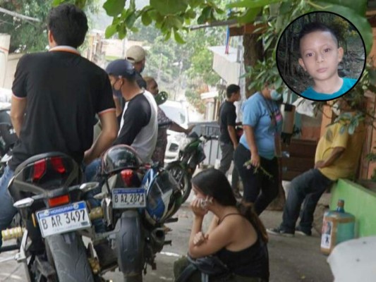 Niño de 9 años muere al caerle árbol derribado por el viento&nbsp;&nbsp;