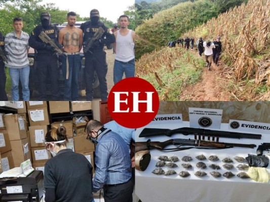 Decomisos, allanamientos y capturas: los resultados de la Operación Júpiter III (FOTOS)