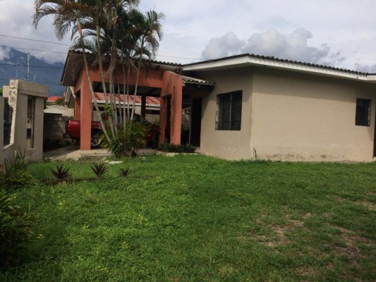 FOTOS: Estos son los bienes asegurados a la red de lavado de activos