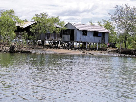 Quieren concesión de fincas camaronera