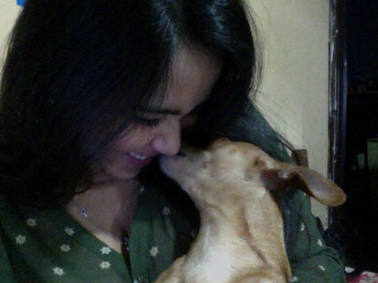 Las zonas donde tu perro jamás debería 'besarte”