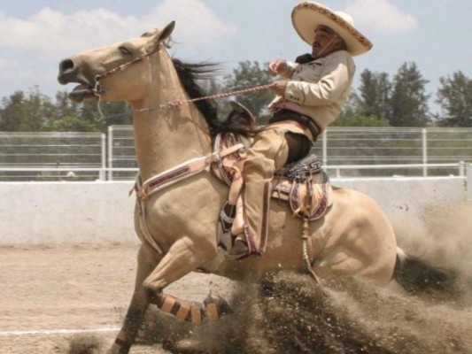 Netflix: Lo que se sabe sobre la serie biográfica de Vicente Fernández