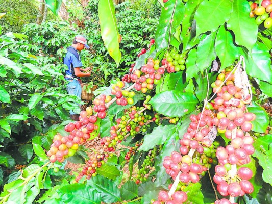Cohep reconoce avances del gobierno en materia económica