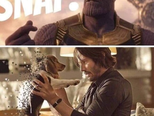 Los divertidos memes de John Wick después de que mataran a su perro