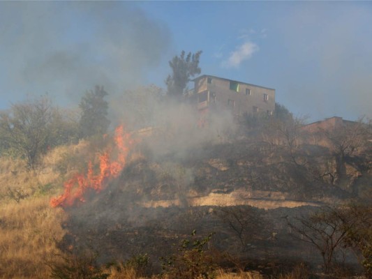 En un 22% aumentan los incendios en zacateras