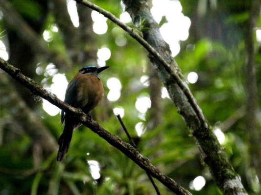 Lago Fest: un paraíso para senderismo, kayak y avistamiento de aves