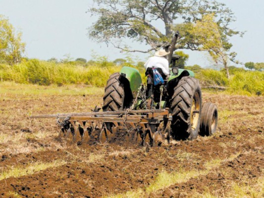 El agro tuvo exoneraciones por 175 millones de lempiras en 2017
