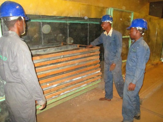 Guanomad: The Agro-ecological adventures of the Madagascan Batman