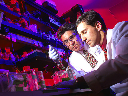 Nobel de Química para médicos estadounidenses especializados en células