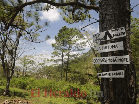 Güinope, de cuna del vino de naranja a firme enclave paisajístico