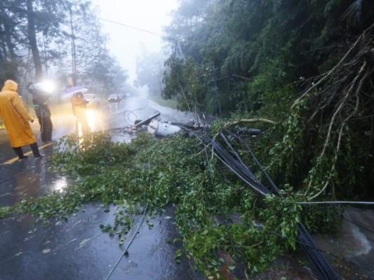 ENEE trabajará en restablecer el servicio en el país