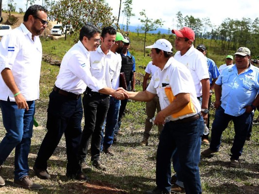 Unos 5,000 empleos generará programa de reforestación, asegura el gobierno