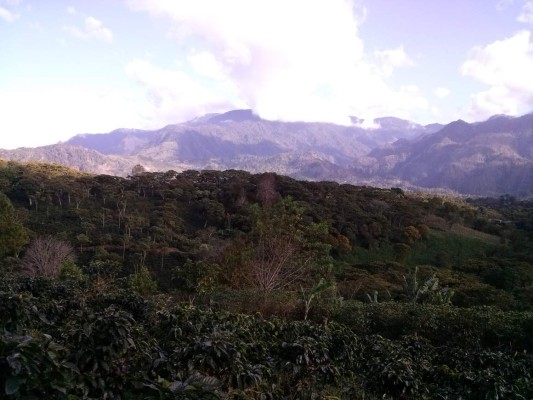 Turismo rural y de aventura bajo el cobijo de Celaque