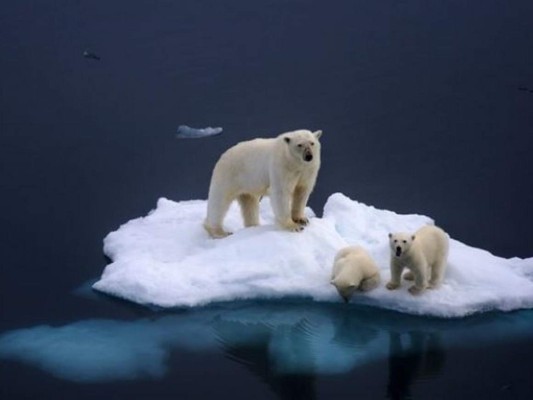 El calentamiento global y sus nocivas consecuencias