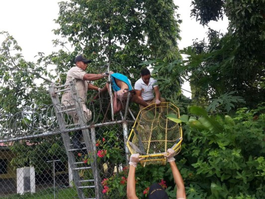 Honduras: Joven muere electrocutado en Olanchito&nbsp;&nbsp;