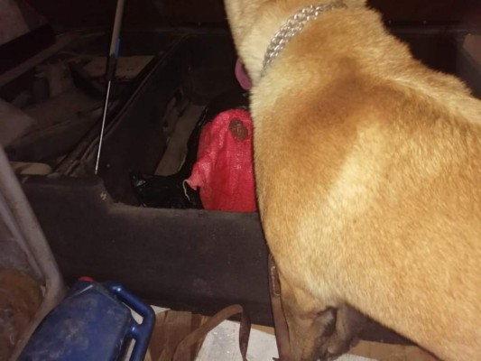 Unos 52 paquetes de droga hallaron escondidos en camión cisterna (FOTOS)