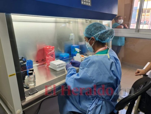 Inauguran Laboratorio de Biología Molecular en Copán&nbsp;&nbsp;