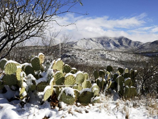 Ola de frío azota Arizona y gran parte del oeste de EEUU&nbsp;