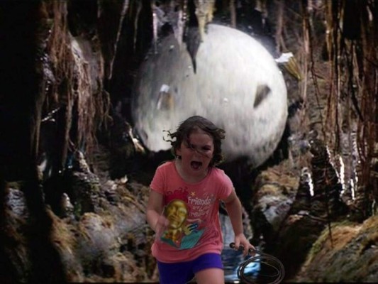 Le toman foto escapando de un pavo real y el Photoshop no se hizo esperar